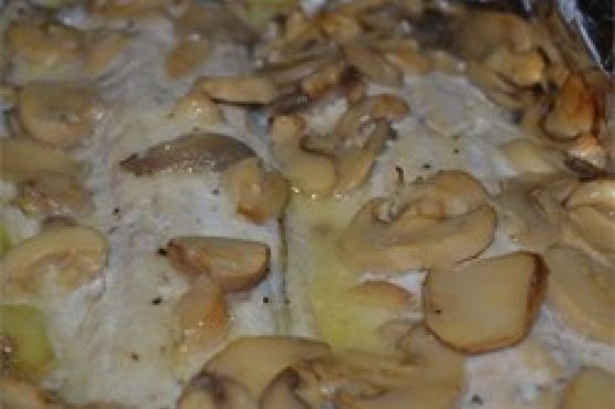 Allison's Trout