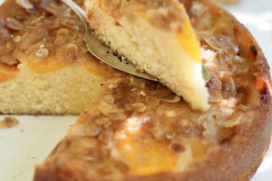 Apricot butter cake