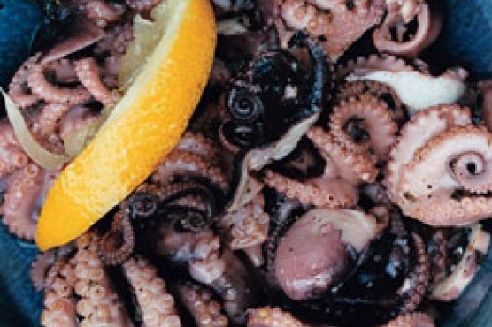 Baby Octopus Salad