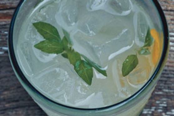 Basil Vodka Gimlets
