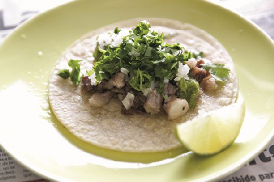 Beef Cheek Tacos