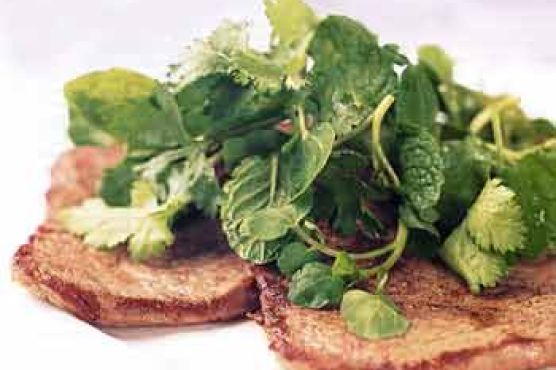 Beef Paillards with Watercress and Herb Salad