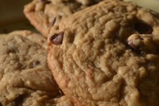 Best Big, Fat, Chewy Chocolate Chip Cookie