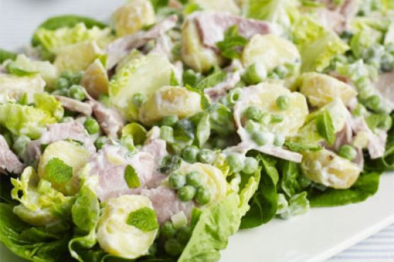 Big ham salad