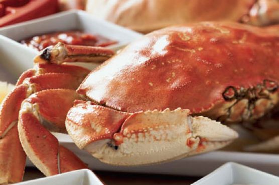 Boiled Dungeness Crab with Fennel
