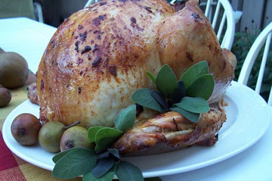 Brined and Barbecued Turkey