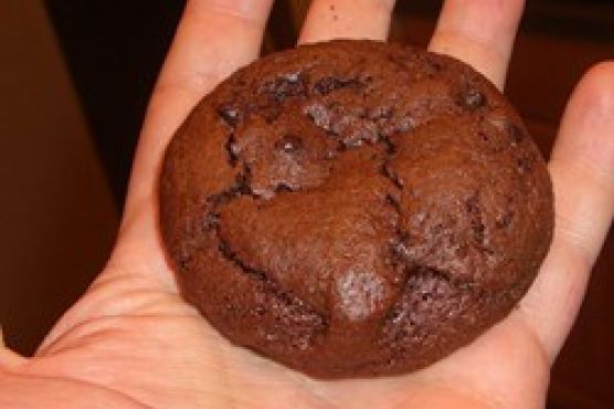 Brownie cookies