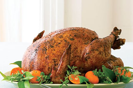 Chile and Spice Grilled Turkey