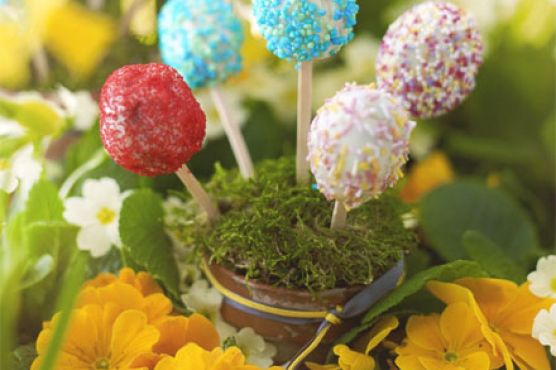 Choc-egg lollies
