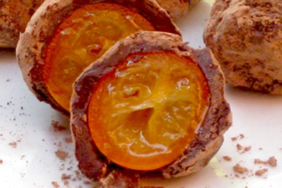 Chocolate Covered Kumquat Bon-Bons