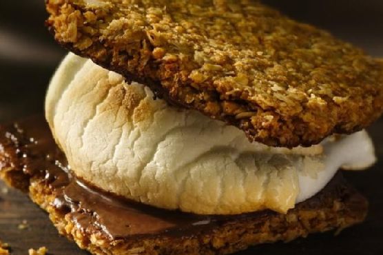 Chocolate Granola Thin S'mores