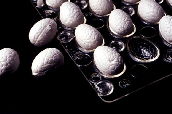 Chocolate Marshmallow Eggs