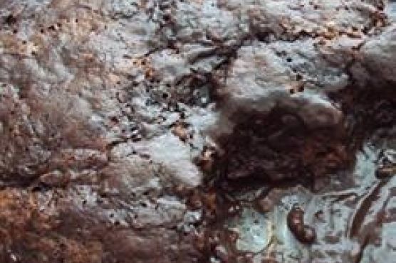 Chocolate Pudding Cake II