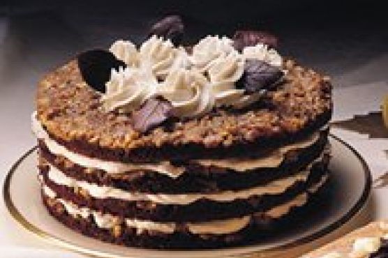 Chocolate-Walnut Torte