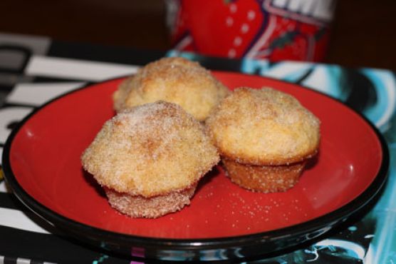 Cinnamon Sugar Donut Mini Muffins