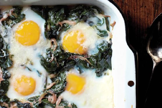 Company Eggs