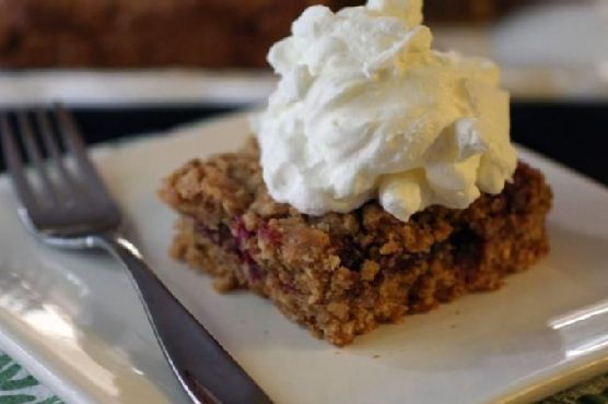 Cranberry-Pomegranate-Oatmeal Squares