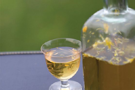Dandelion Wine
