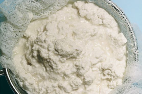 Fresh Ricotta Cheese