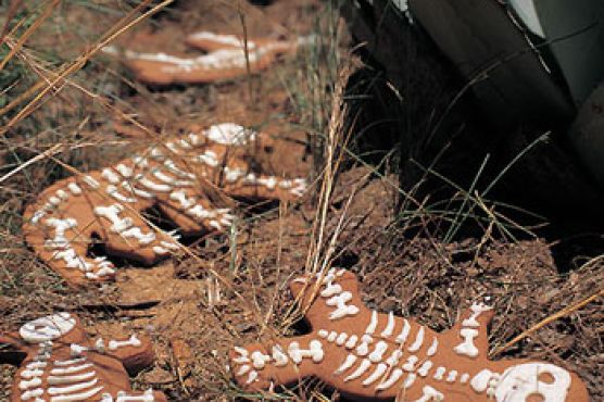 Gingerbread Skeletons