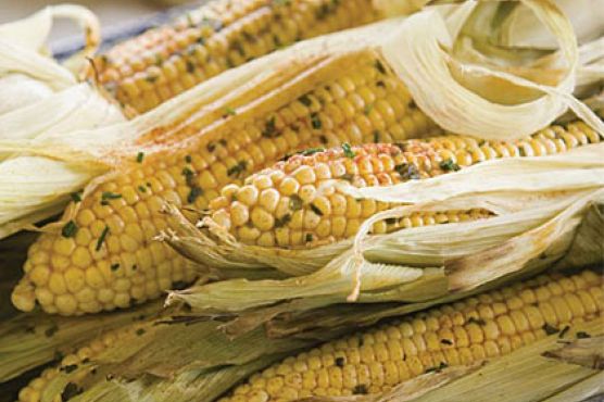 Herb-Buttered Grilled Corn