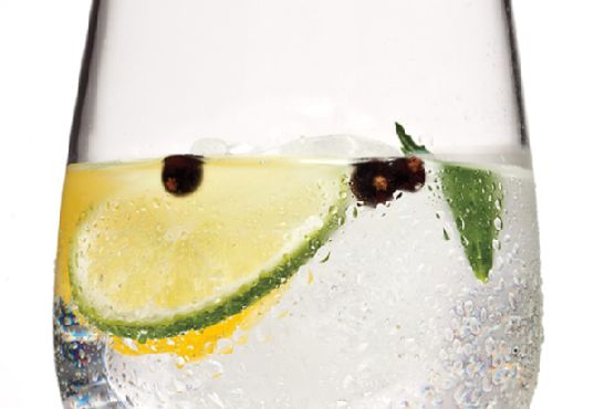 José's Gin & Tonic