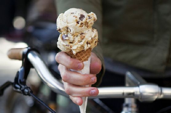 Malted Vanilla Ice Cream with Peanut Brittle and Milk Chocolate Pieces