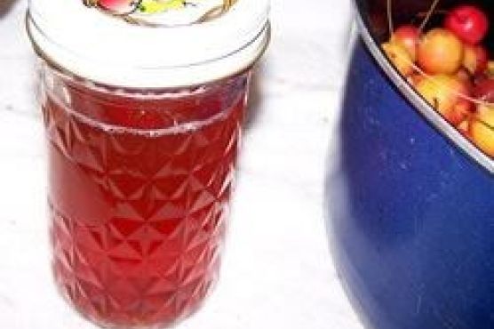 Mary Wynne's Crabapple Jelly