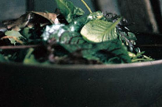 Mesclun Salad
