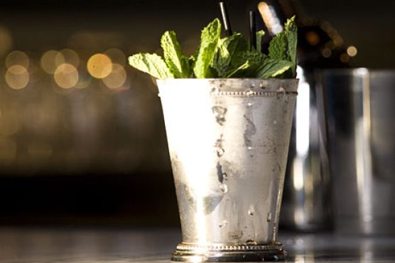 Mint Julep