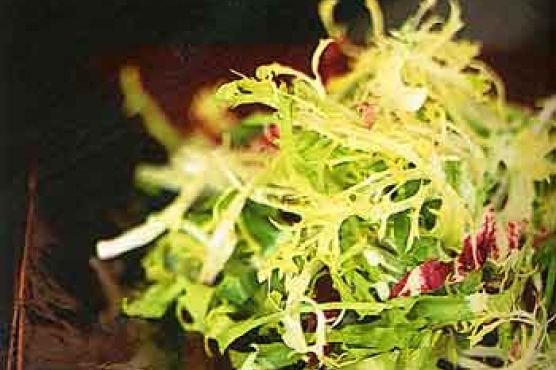 Mixed Lettuce Chiffonade with Gorgonzola-Herb Dressing