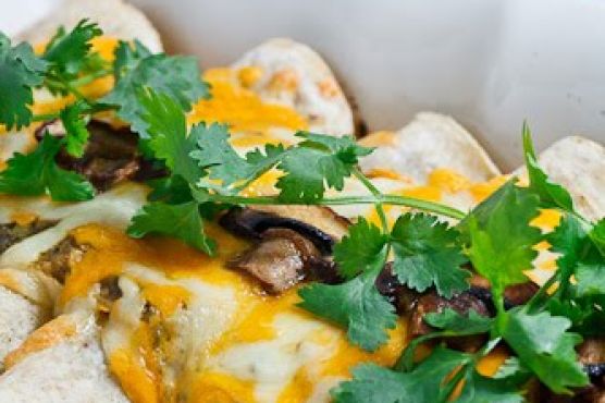 Mushroom and Zucchini Enchiladas