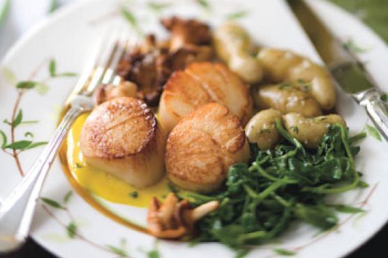 Pan-Seared Scallops with Lemon Sauce