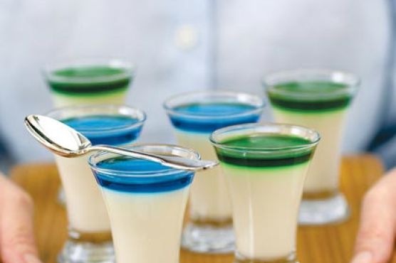 Panna Cotta Shots