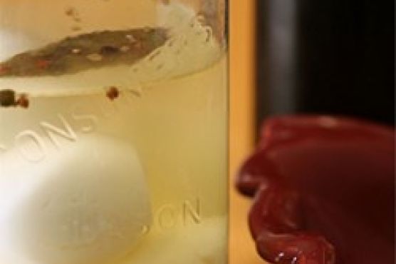 Pickled Eggs II