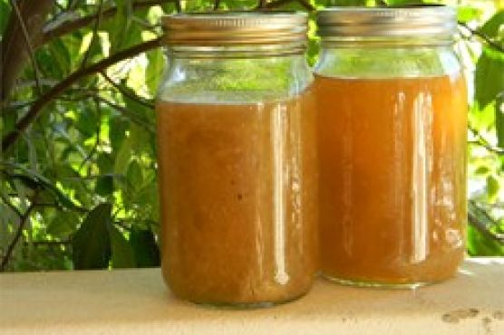 Rapid Chicken Stock