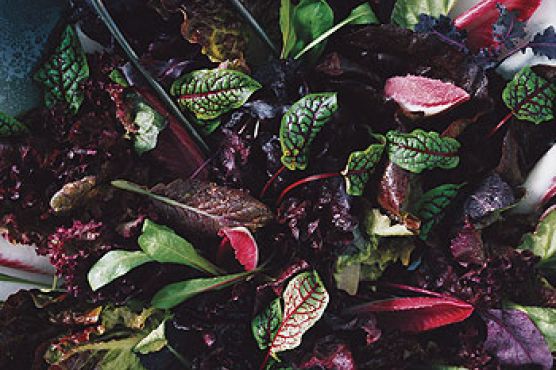 Red Salad with Champagne Vinaigrette