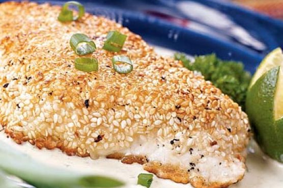 Sesame-crusted Halibut with Poblano Cream Sauce
