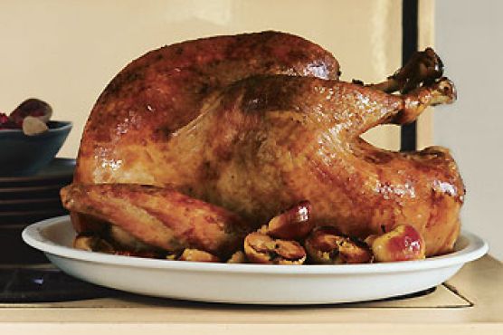 Simple Roast Turkey with Rich Turkey Gravy
