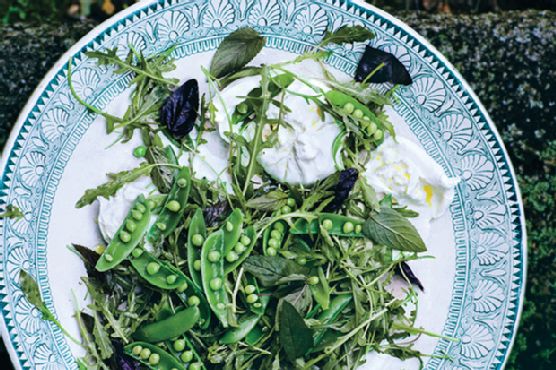 Snap Pea Salad with Burrata