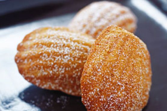 Spiced Madeleines