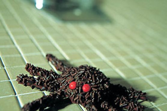 Tarantula Cookies