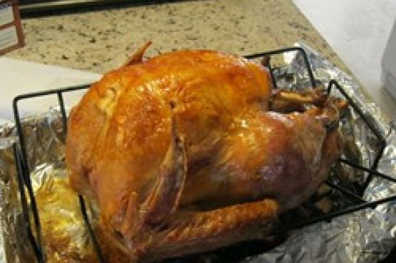 The Best Ugly Turkey