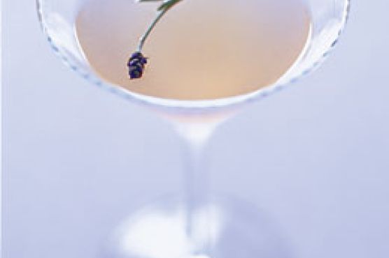 The New Bee's Knees