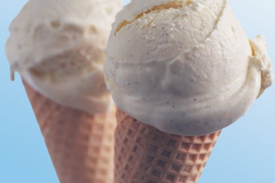 Ultimate vanilla ice cream