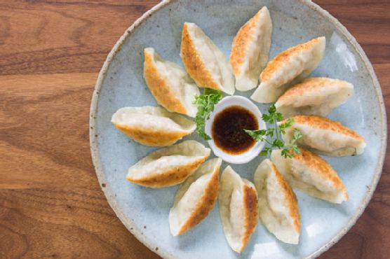 Vegan Gyoza