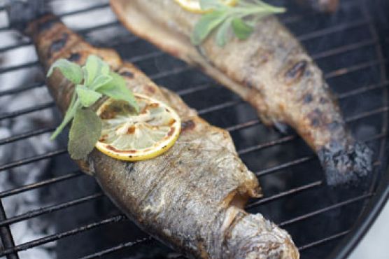 Vine-Smoked Trout