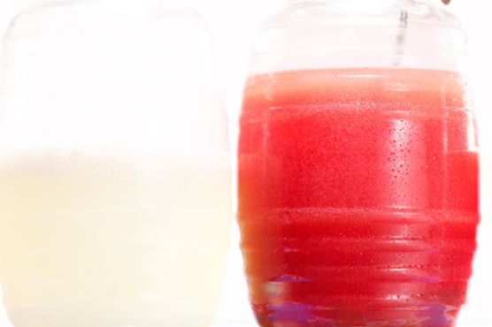 Watermelon and Grapefruit Agua Fresca