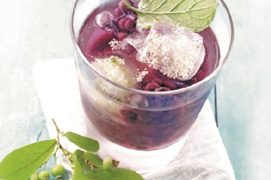 Wild Blueberry Soda