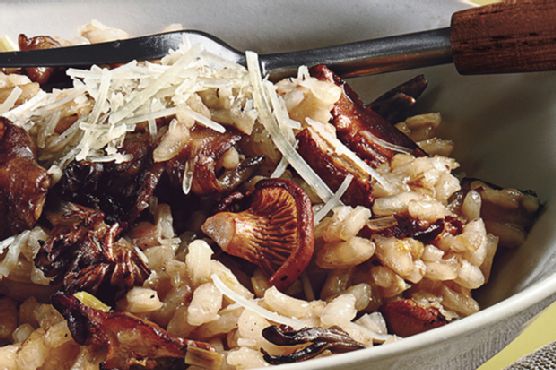 Wild Mushroom Risotto
